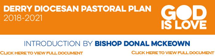 Diocesan Plan